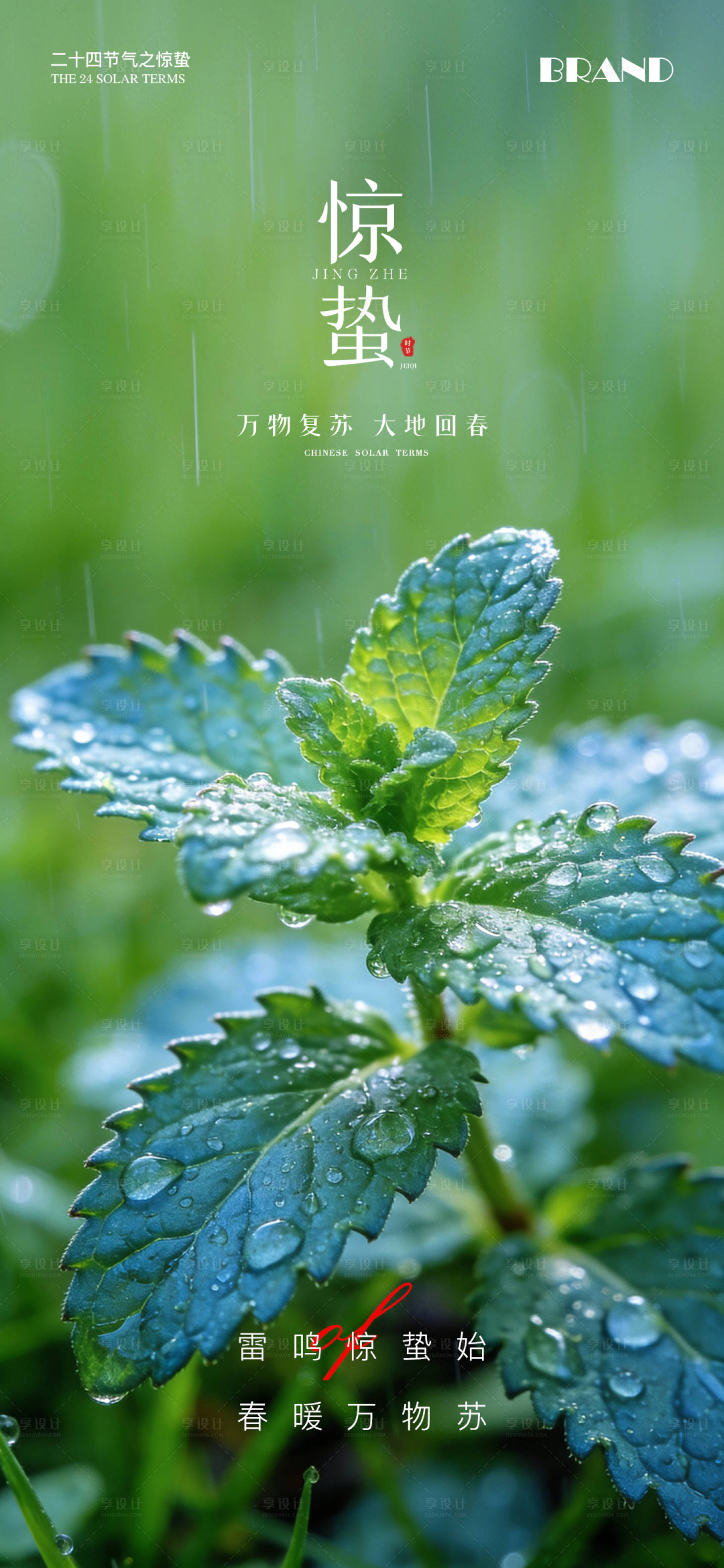源文件下载【享设计】搜索编号：54020035638451855【惊蛰节气海报】