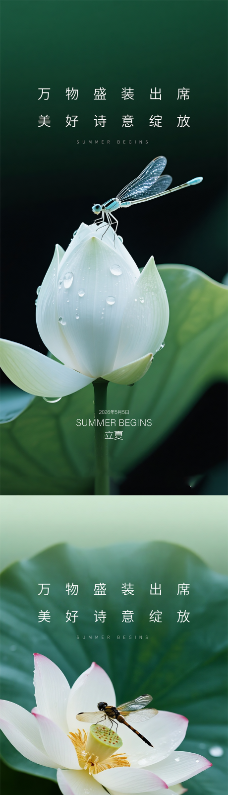源文件下载【享设计】搜索编号：88160036055155307【地产立夏质感节气海报】