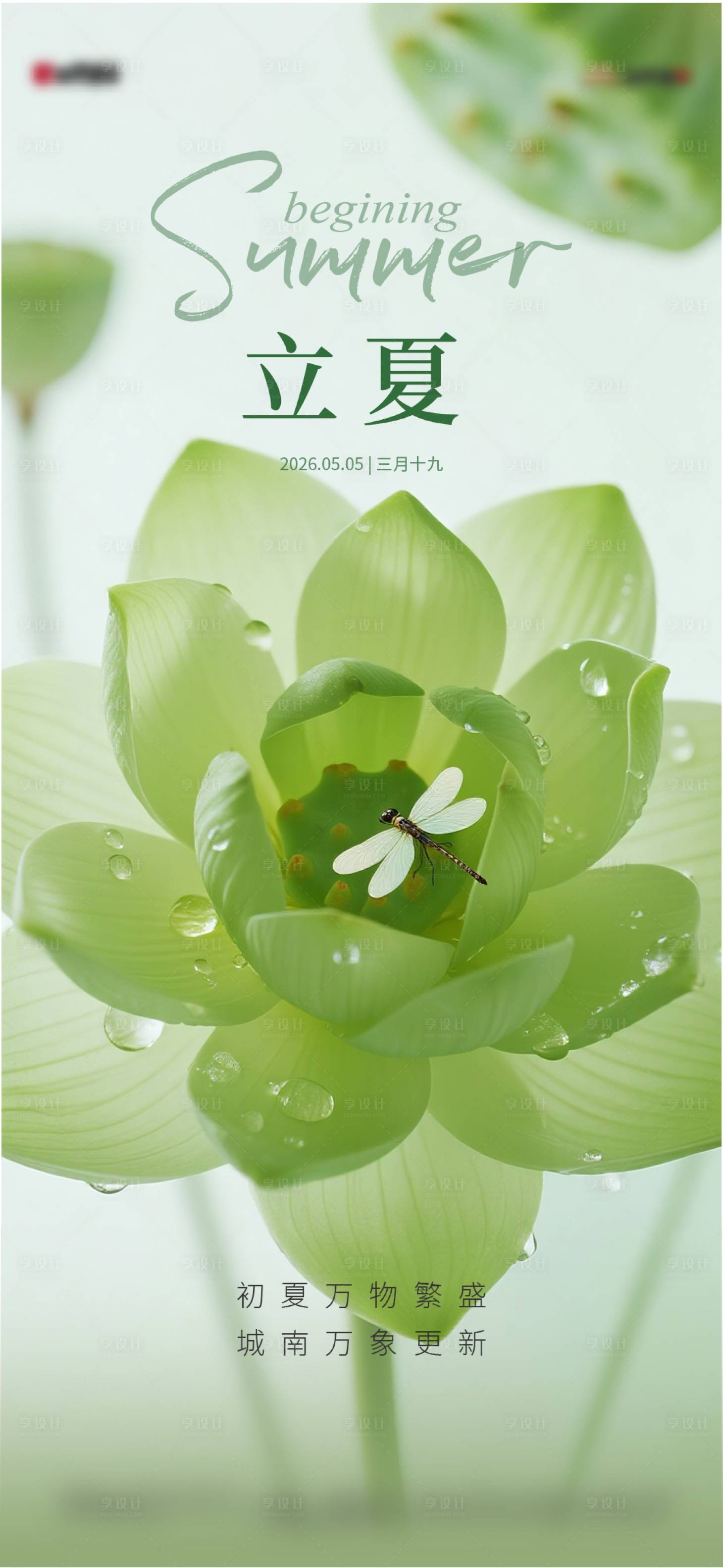 源文件下载【享设计】搜索编号：88370035943042940【立夏节气海报】