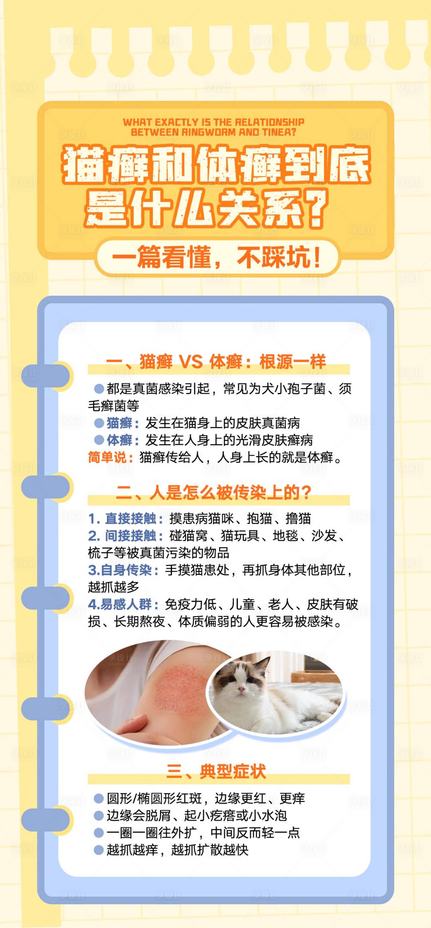 源文件下载【享设计】搜索编号：21220035590353904【皮肤病常识海报】