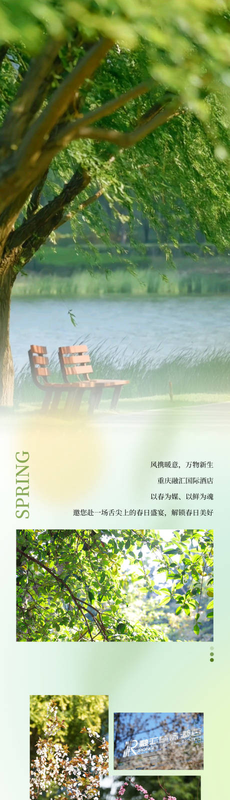 源文件下载【享设计】搜索编号：15450036145374962【春季菜长图推文】