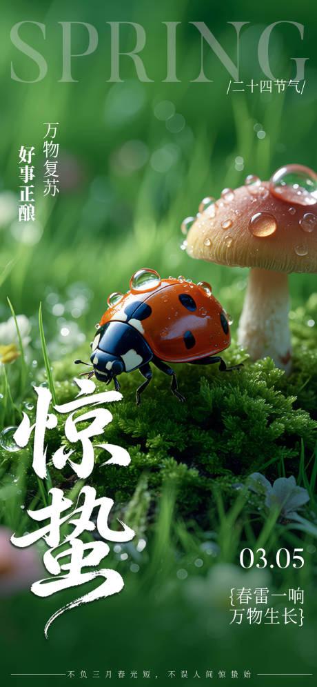 源文件下载【享设计】搜索编号：32630035594559396【惊蛰节气海报】