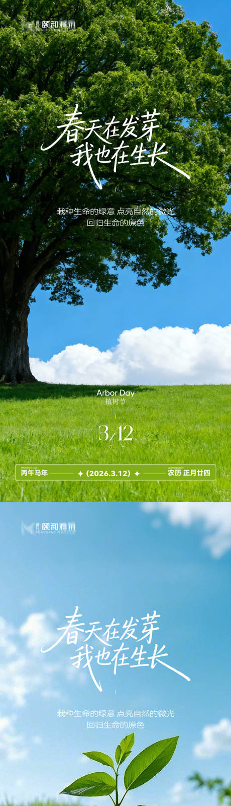 源文件下载【享设计】搜索编号：92920035698299993【2026植树节节日海报】