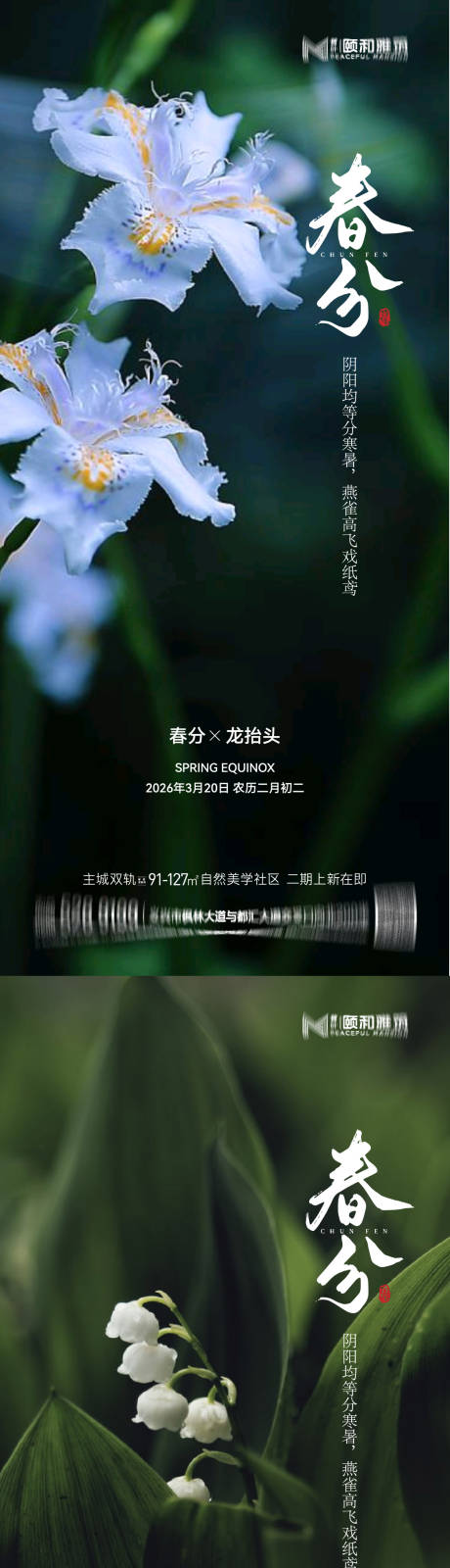 源文件下载【享设计】搜索编号：24510035898509840【龙抬头春分节日节气海报春天】