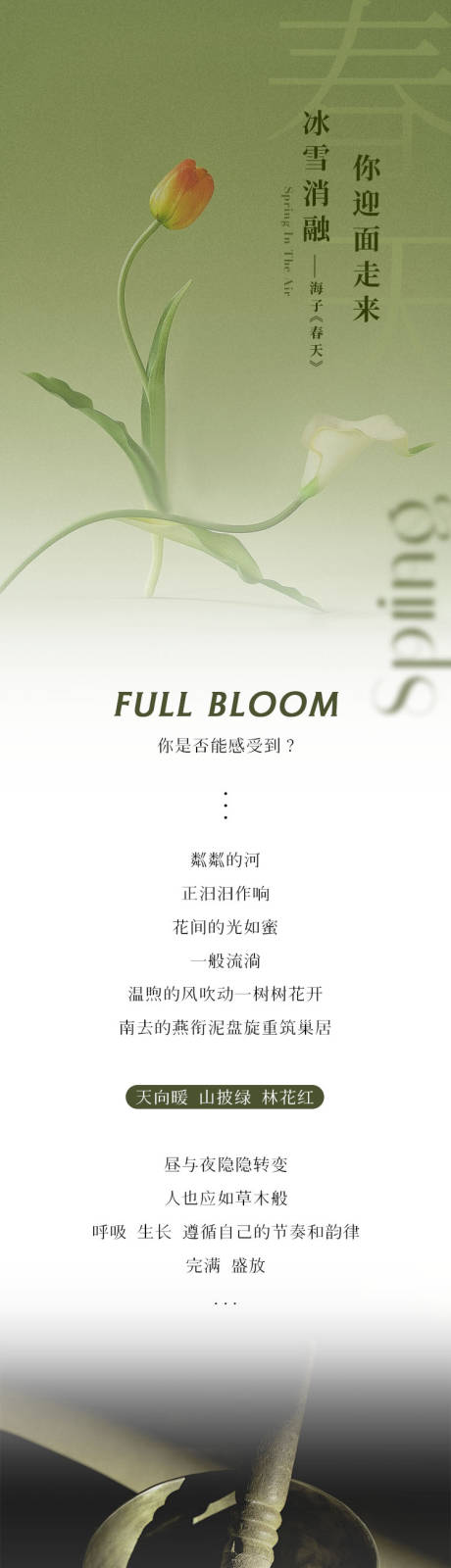 源文件下载【享设计】搜索编号：92460035801722326【SPA美业春季疗愈长图】