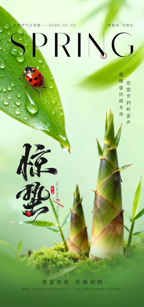 源文件下载【享设计】搜索编号：88750035592704233【惊蛰海报】