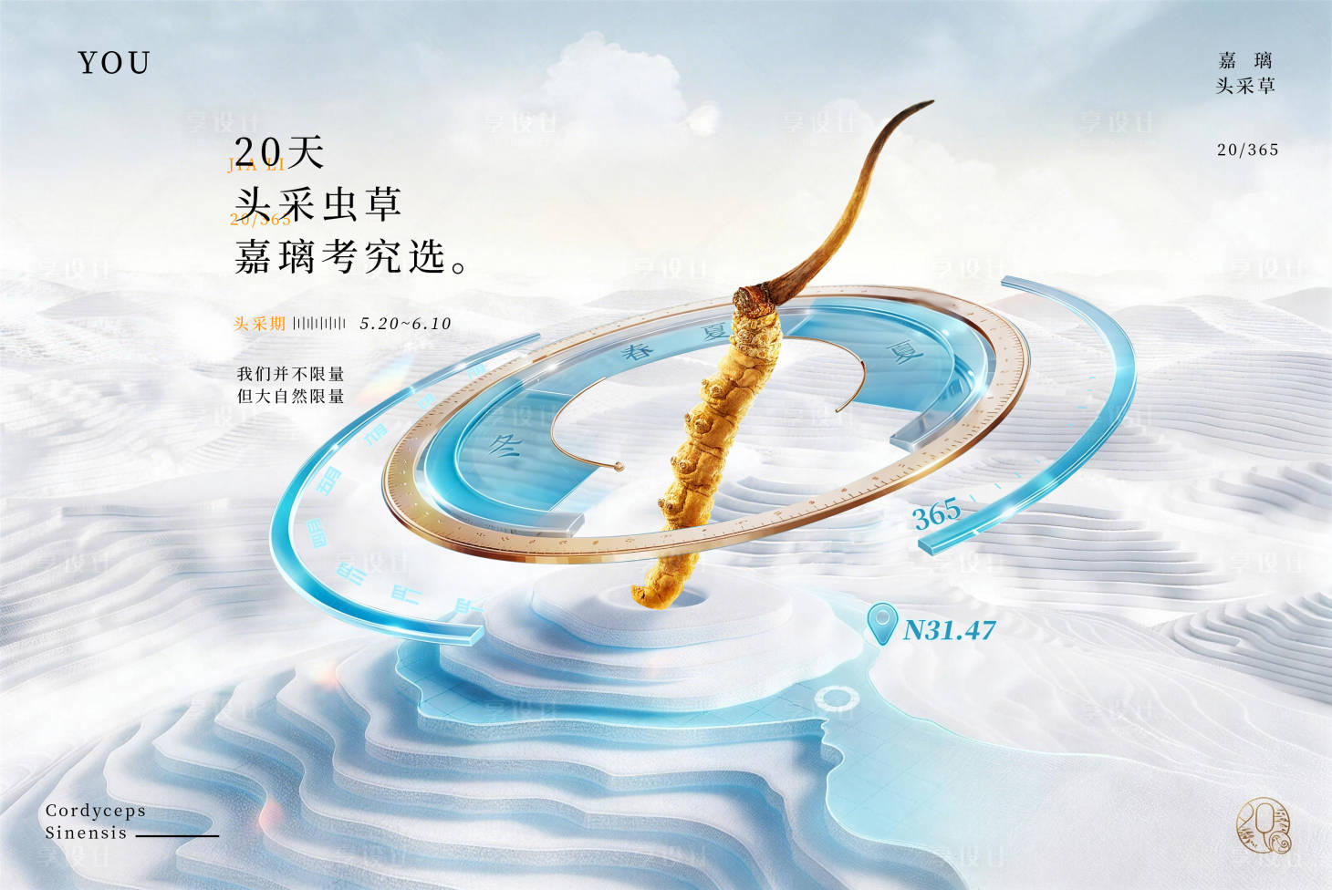 源文件下载【享设计】搜索编号：76240035806363393【冬虫夏草海报】