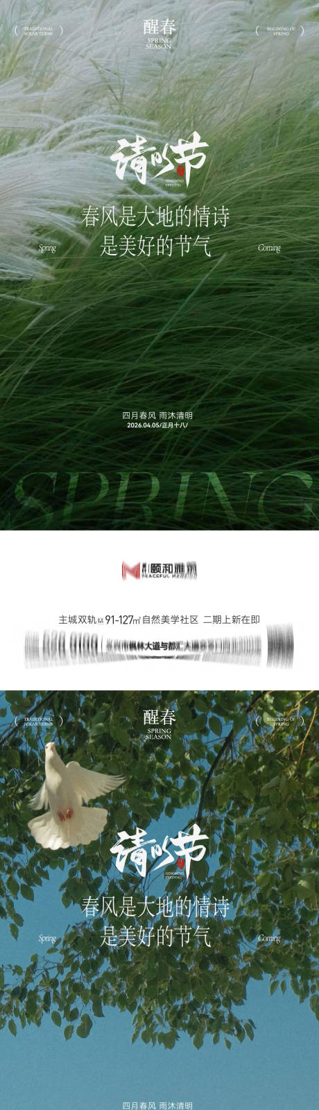 源文件下载【享设计】搜索编号：31640036087537612【清明节气海报二十四春天】