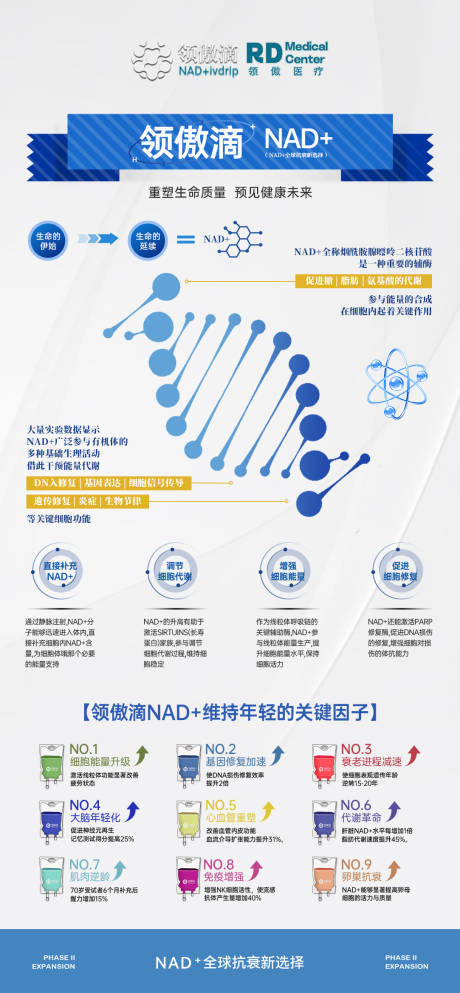 源文件下载【享设计】搜索编号：56080035782194107【NAD+产品科普项目推广图】