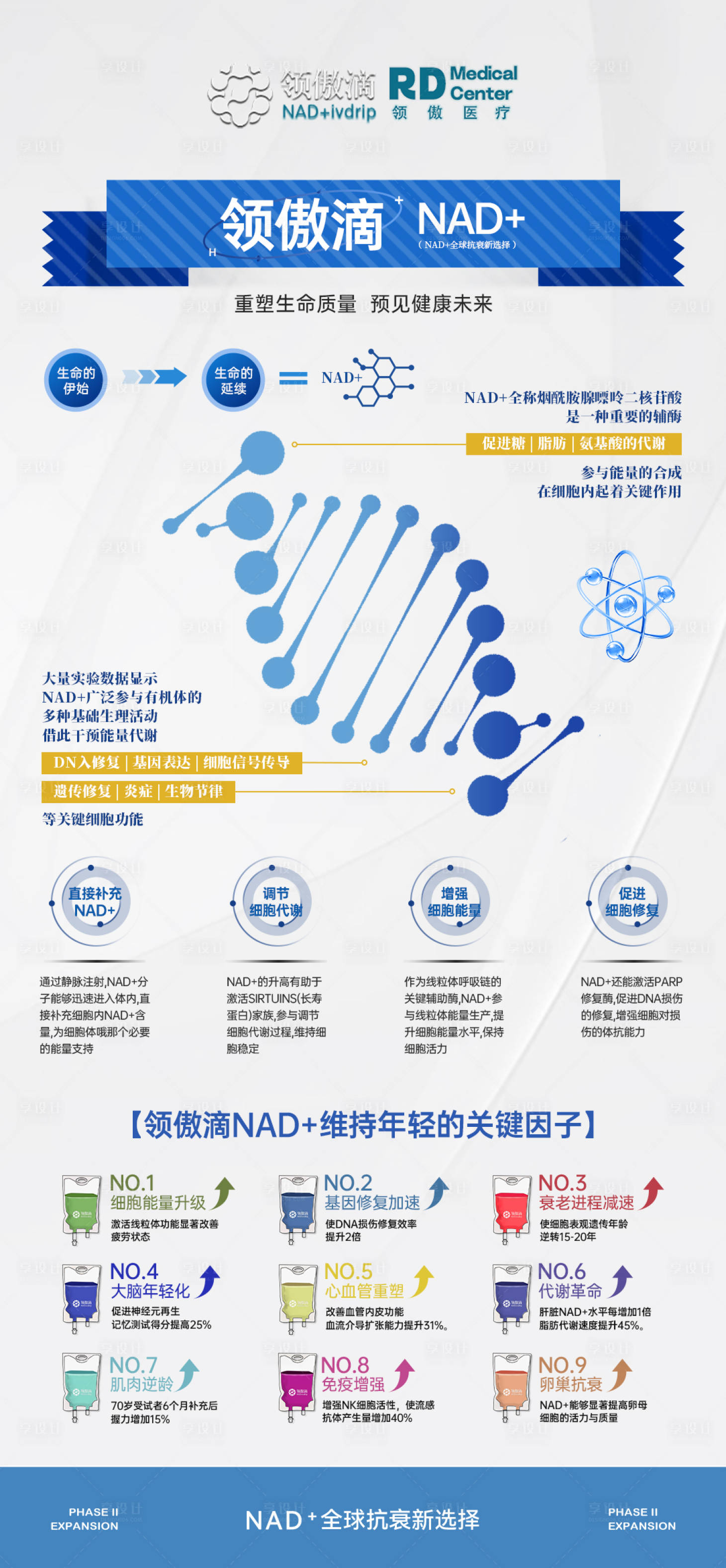 源文件下载【享设计】搜索编号：56080035782194107【NAD+产品科普项目推广图】