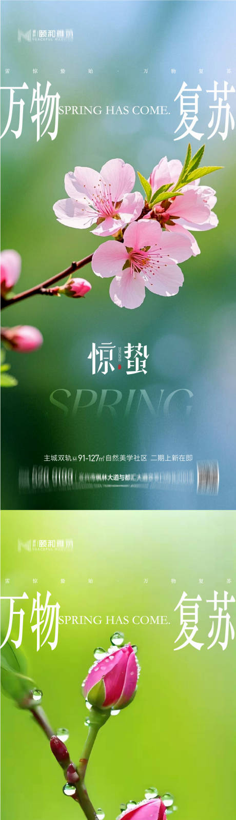 源文件下载【享设计】搜索编号：34550035599692341【惊蛰节气桃花梨花系列海报】