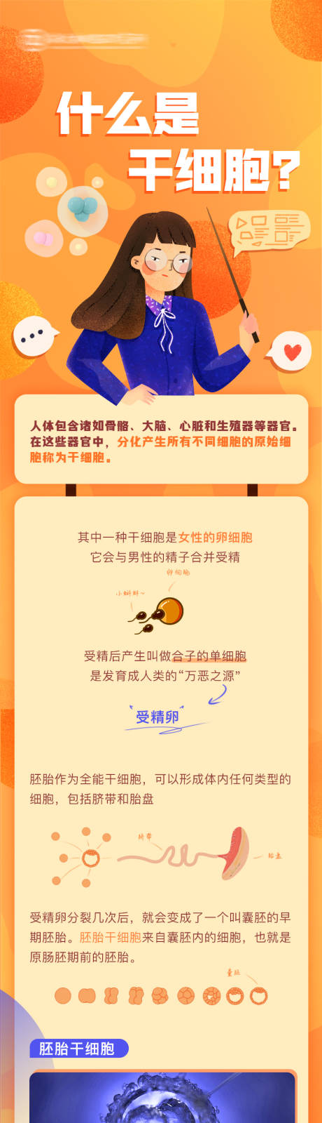 源文件下载【享设计】搜索编号：63370036011553488【医疗大健康干细胞科普海报长图详情页】