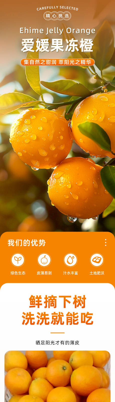 源文件下载【享设计】搜索编号：58390035854596196【爱媛果冻橙橙子详情】
