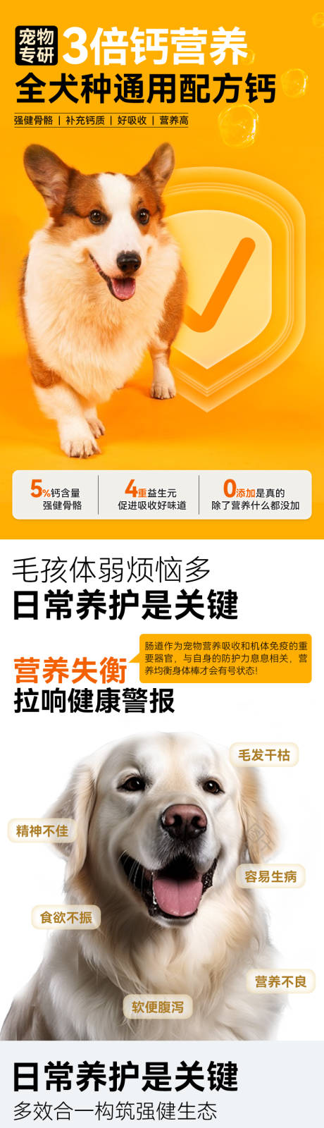 源文件下载【享设计】搜索编号：66270036004155806【宠物产品详情页宠物专研营养钙】