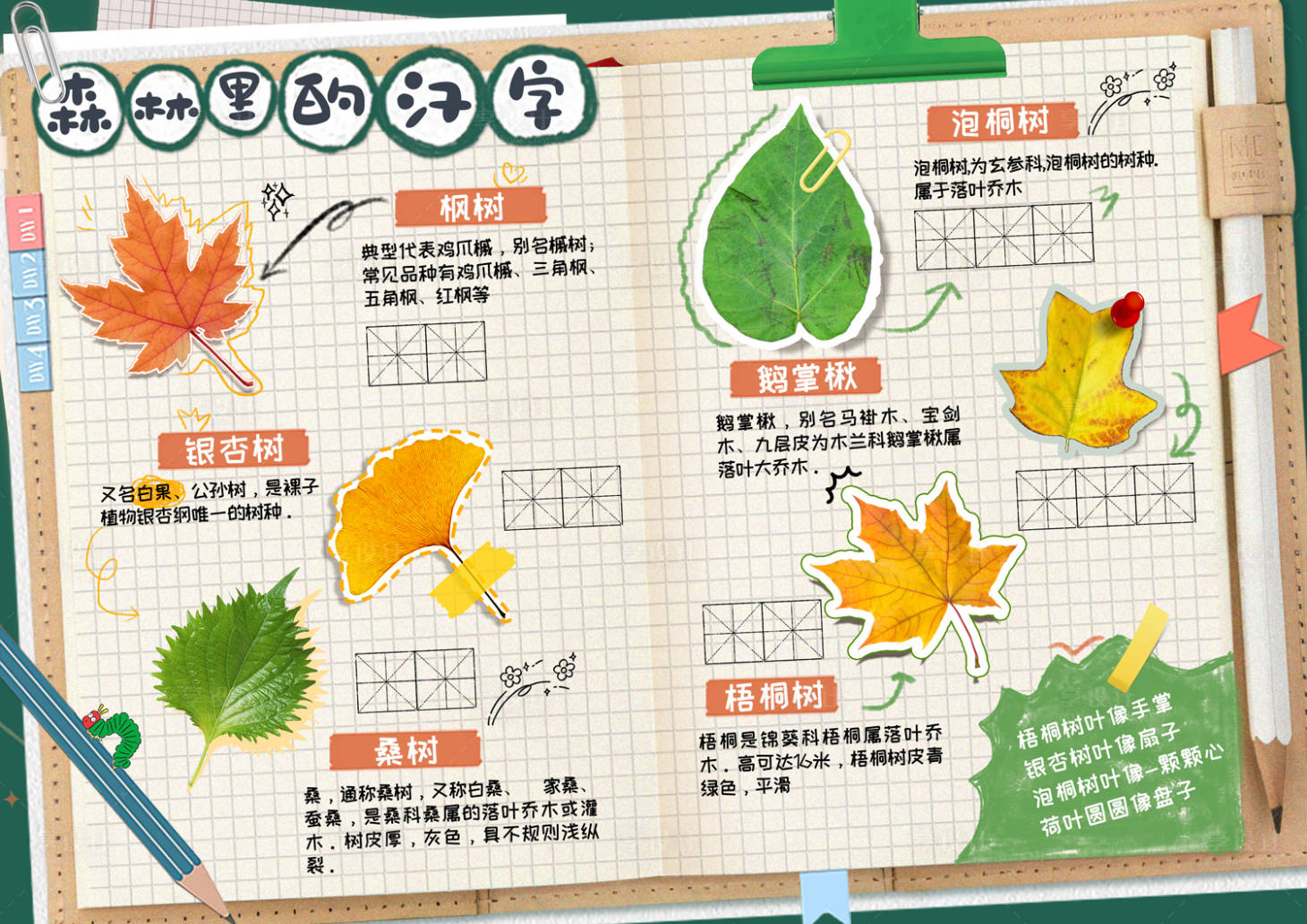 源文件下载【享设计】搜索编号：33770036076763010【设计小报海报展板】