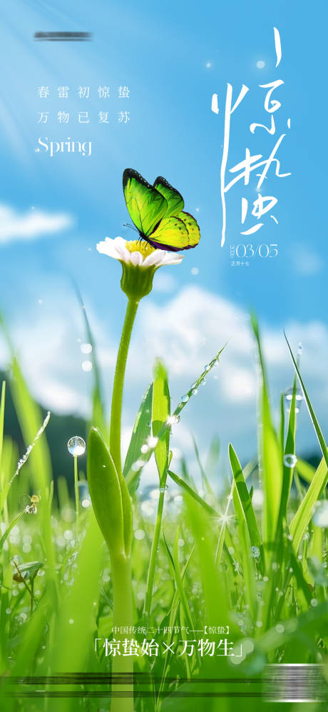 源文件下载【享设计】搜索编号：44650035608879258【惊蛰节气海报】