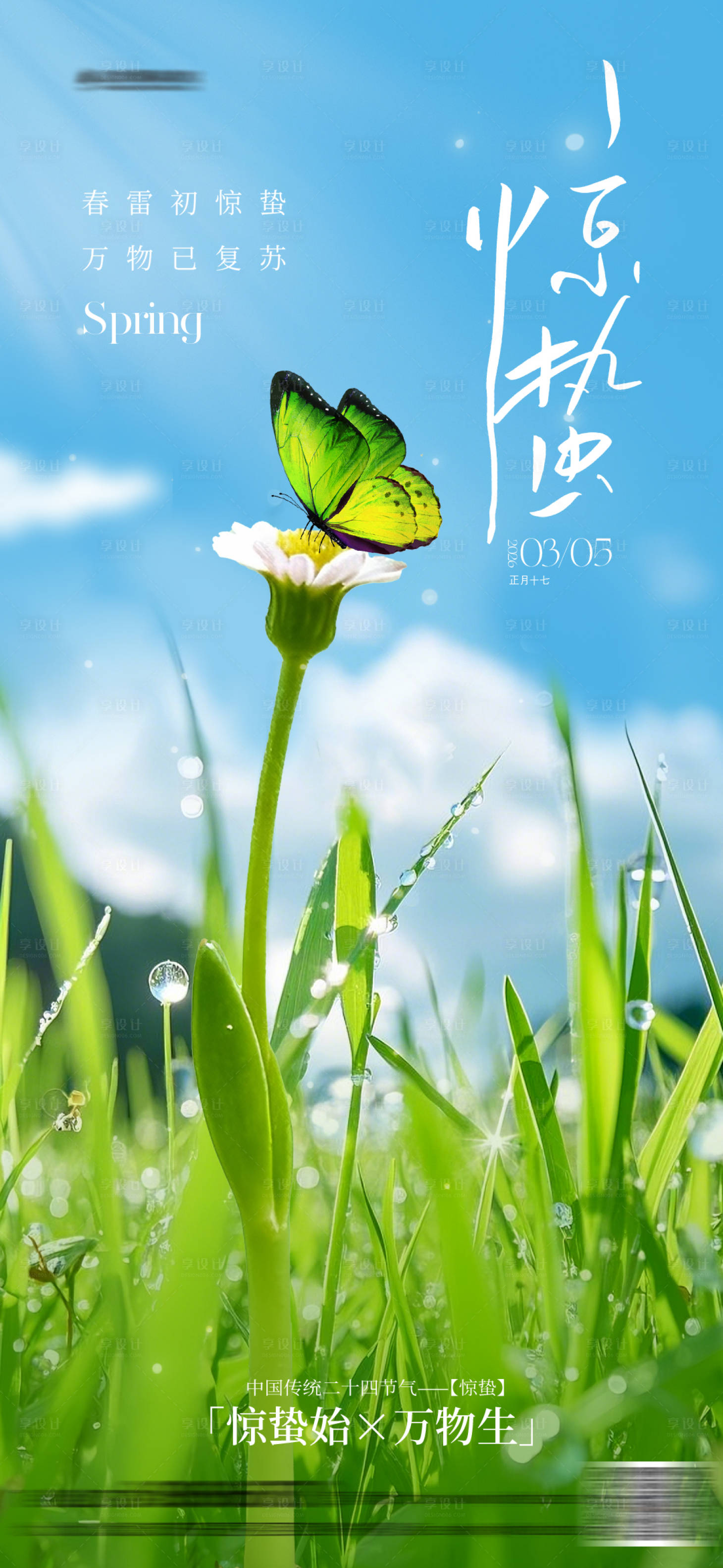 源文件下载【享设计】搜索编号：44650035608879258【惊蛰节气海报】