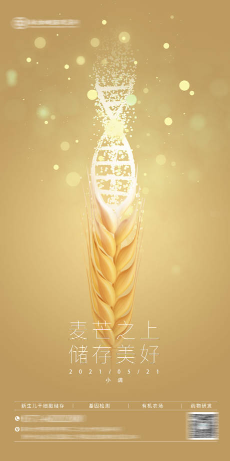 源文件下载【享设计】搜索编号：17980035826079422【医疗大健康基因新生儿孕妈小满节气海报】