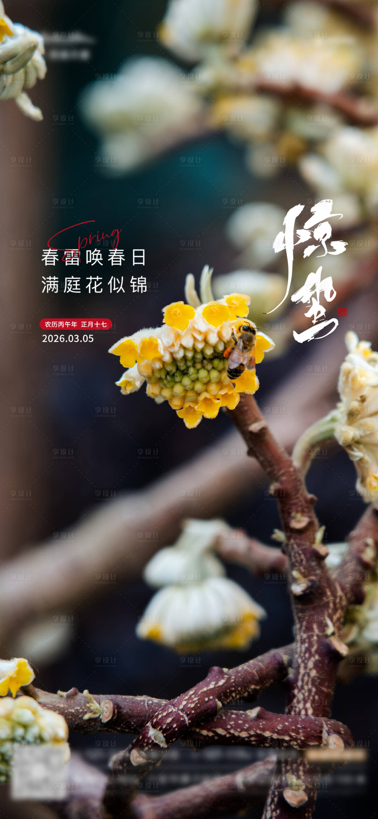 源文件下载【享设计】搜索编号：98940035716413561【惊蛰】