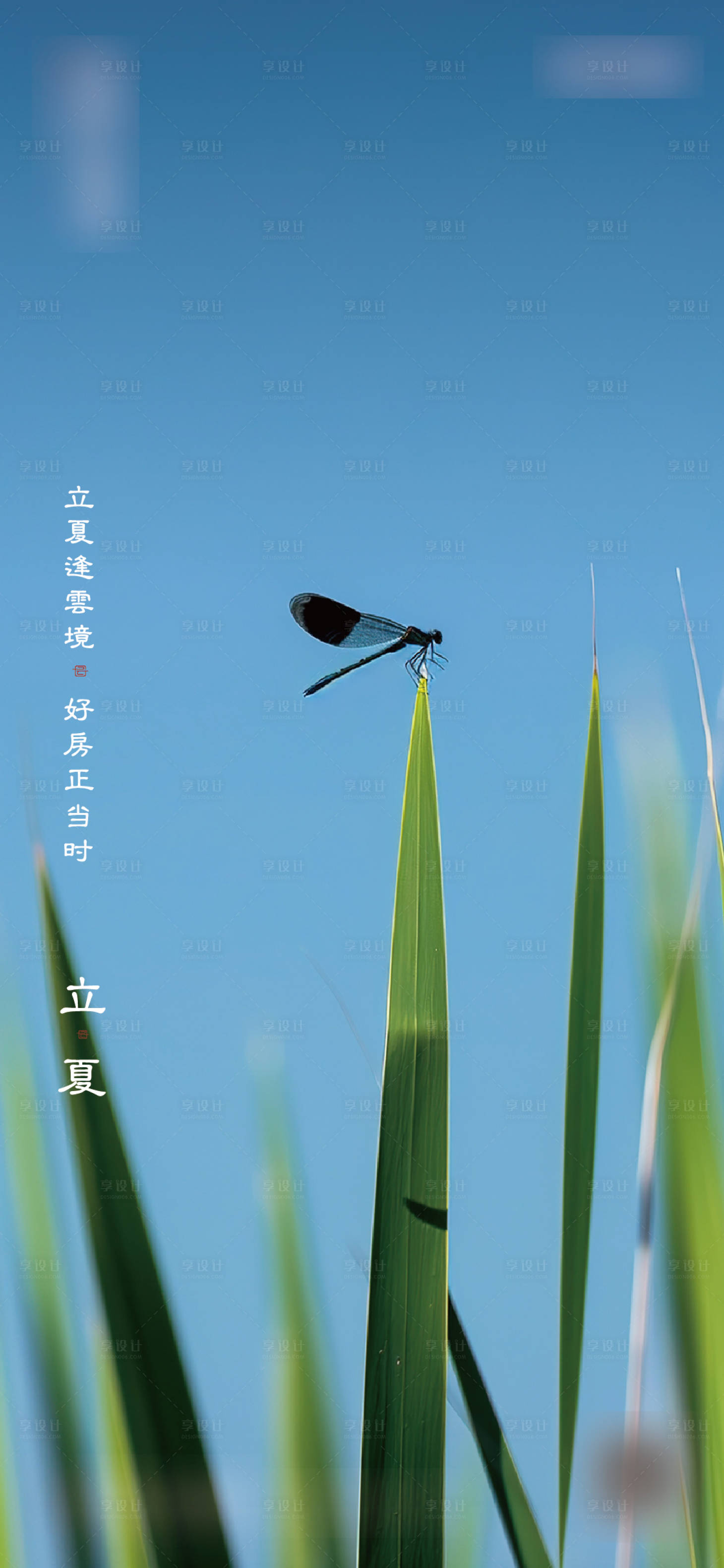 源文件下载【享设计】搜索编号：80070035920587136【立夏节气海报】