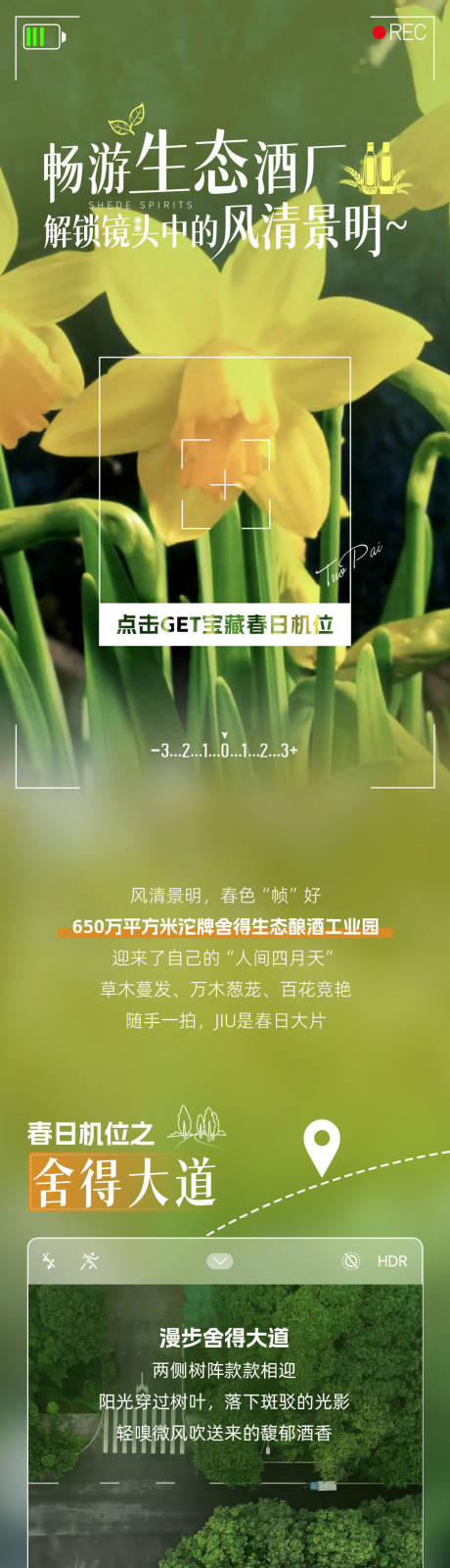 源文件下载【享设计】搜索编号：77330035997908012【清明节拍照春日生态长图】