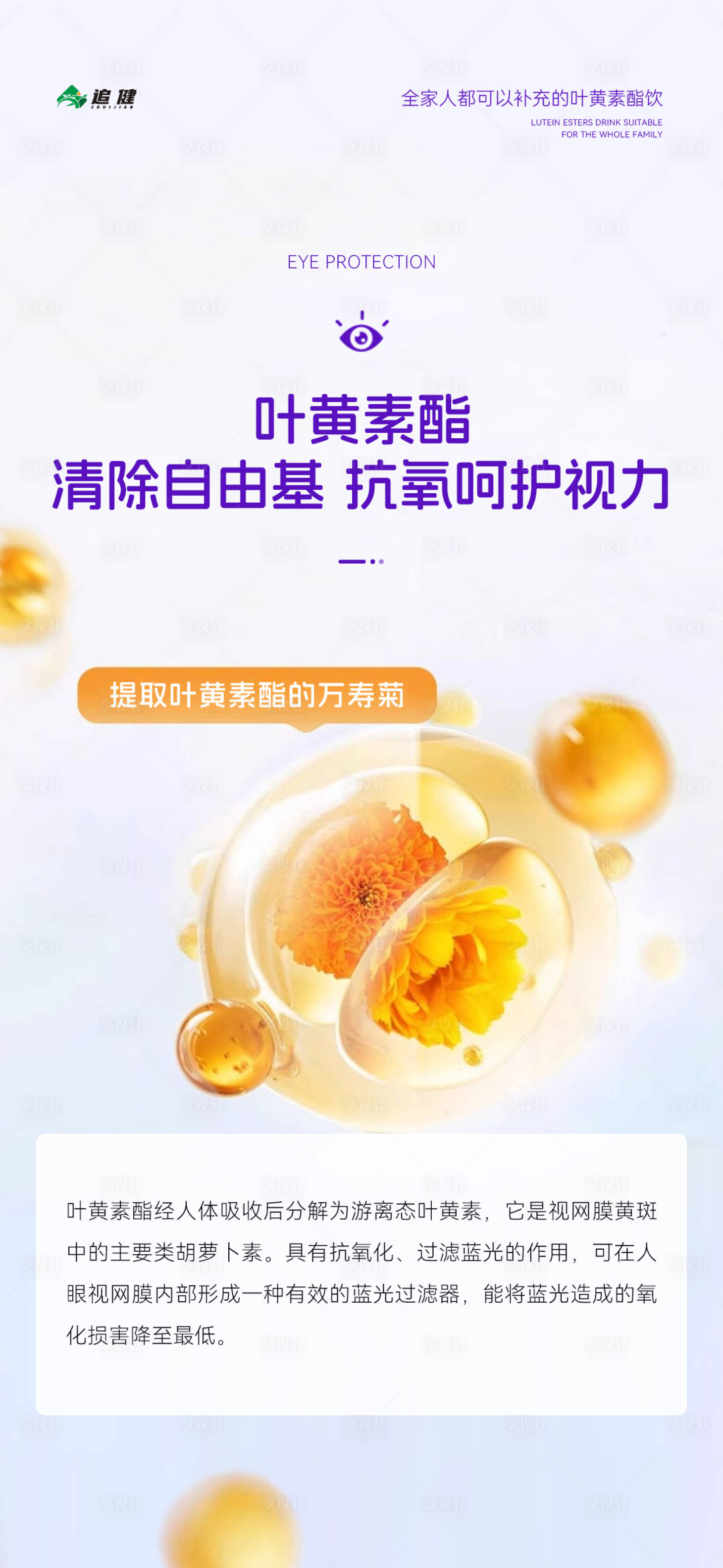 源文件下载【享设计】搜索编号：39360035766083092【蓝莓叶黄素产品海报】