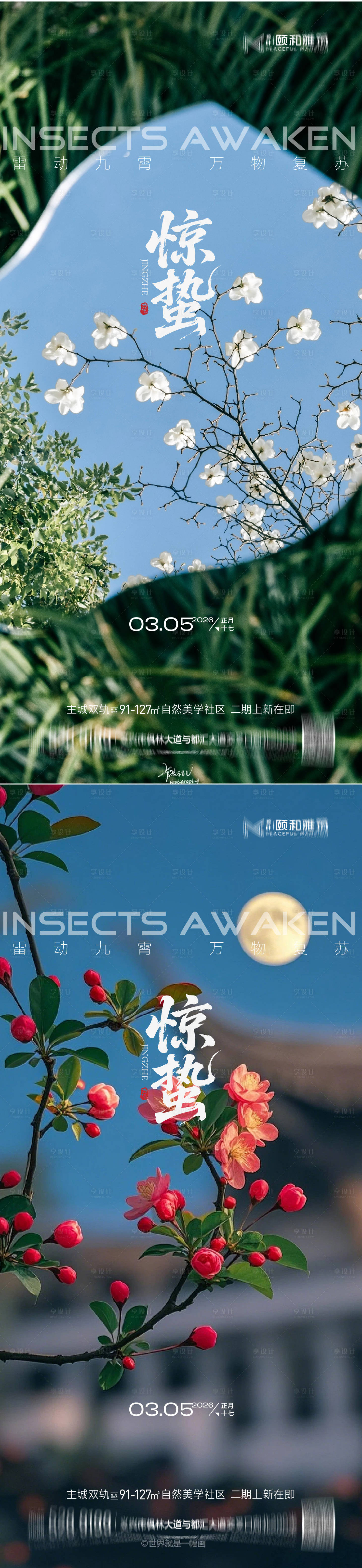 源文件下载【享设计】搜索编号：80190035599795700【2026惊蛰节气海报桃花梨花】