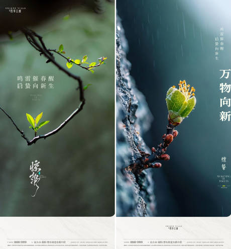 源文件下载【享设计】搜索编号：43150035638467426【惊蛰海报】
