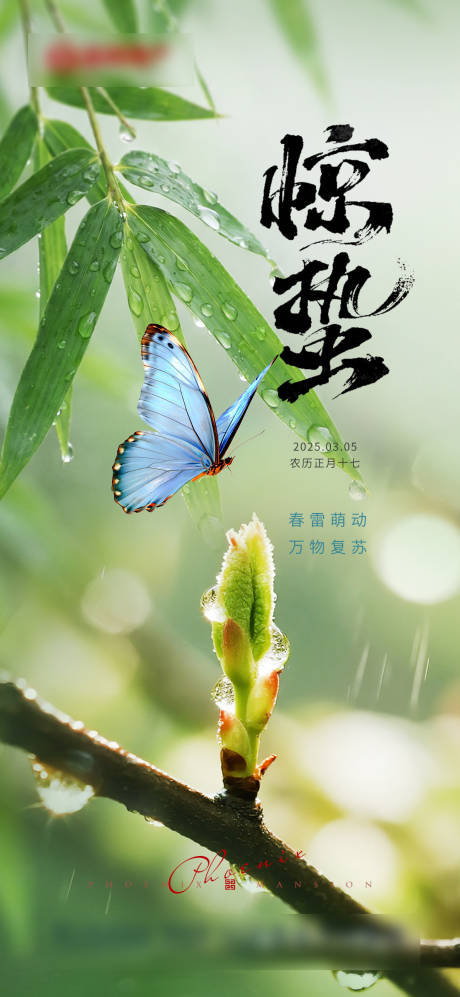 源文件下载【享设计】搜索编号：87040035595987037【惊蛰海报】