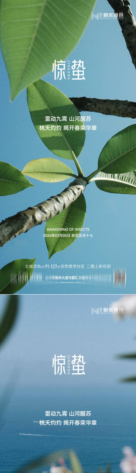 源文件下载【享设计】搜索编号：31680035599867099【惊蛰节气系列海报】