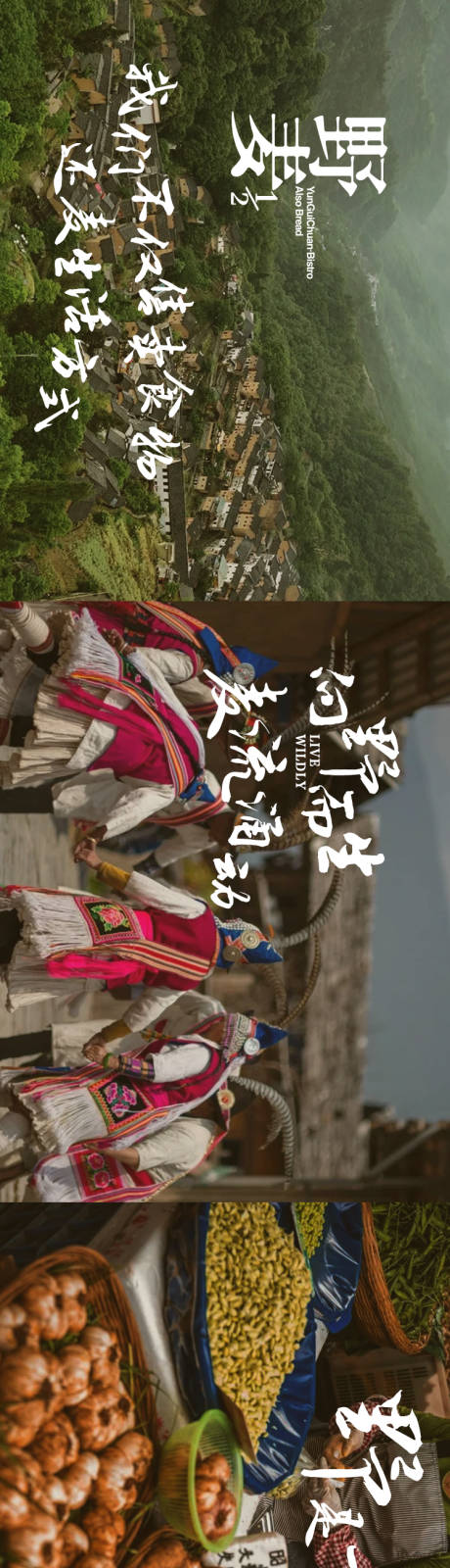源文件下载【享设计】搜索编号：85430036114062350【野味五图】