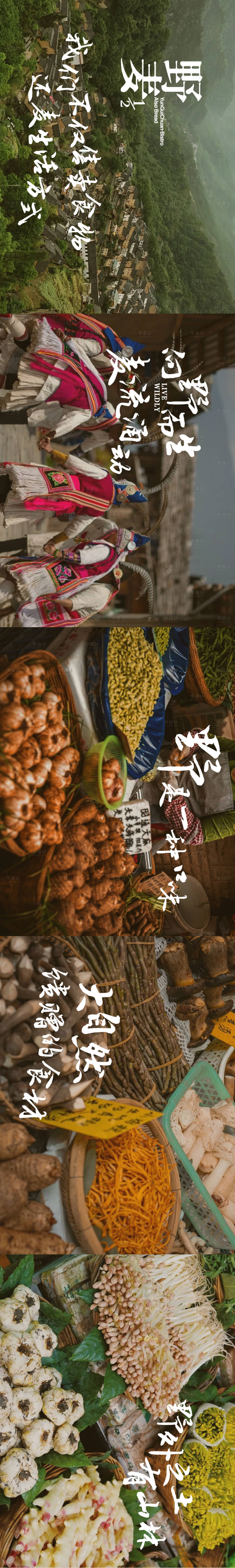 源文件下载【享设计】搜索编号：85430036114062350【野味五图】