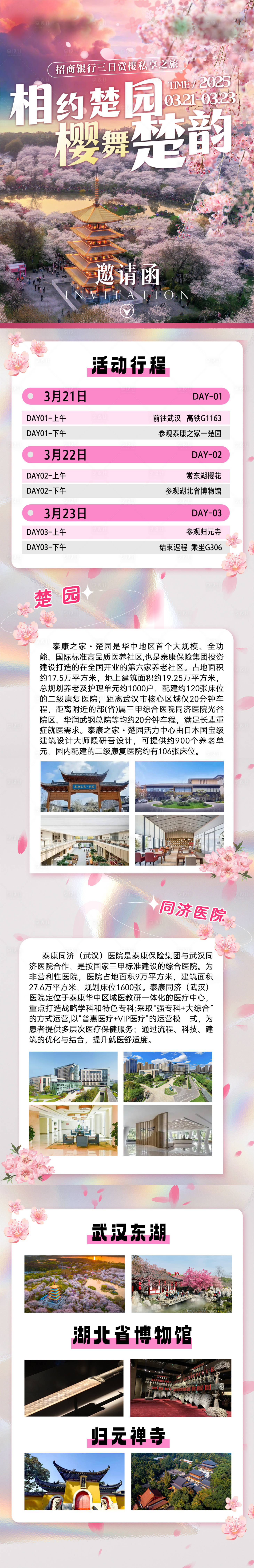 源文件下载【享设计】搜索编号：82670036011537924【樱花楚韵相约武汉】
