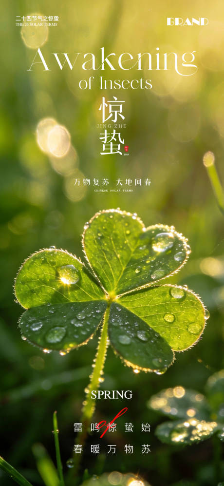 源文件下载【享设计】搜索编号：64340035618955321【惊蛰节气海报】