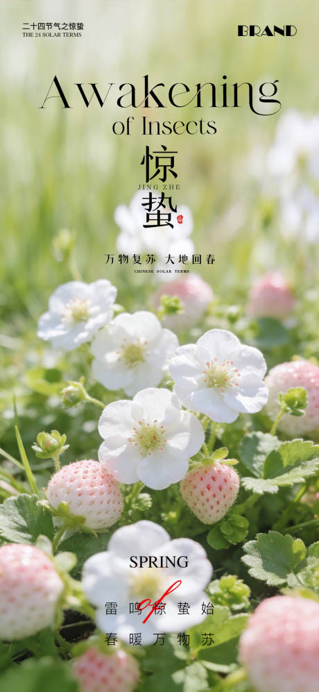 源文件下载【享设计】搜索编号：51130035656255991【惊蛰节气海报】