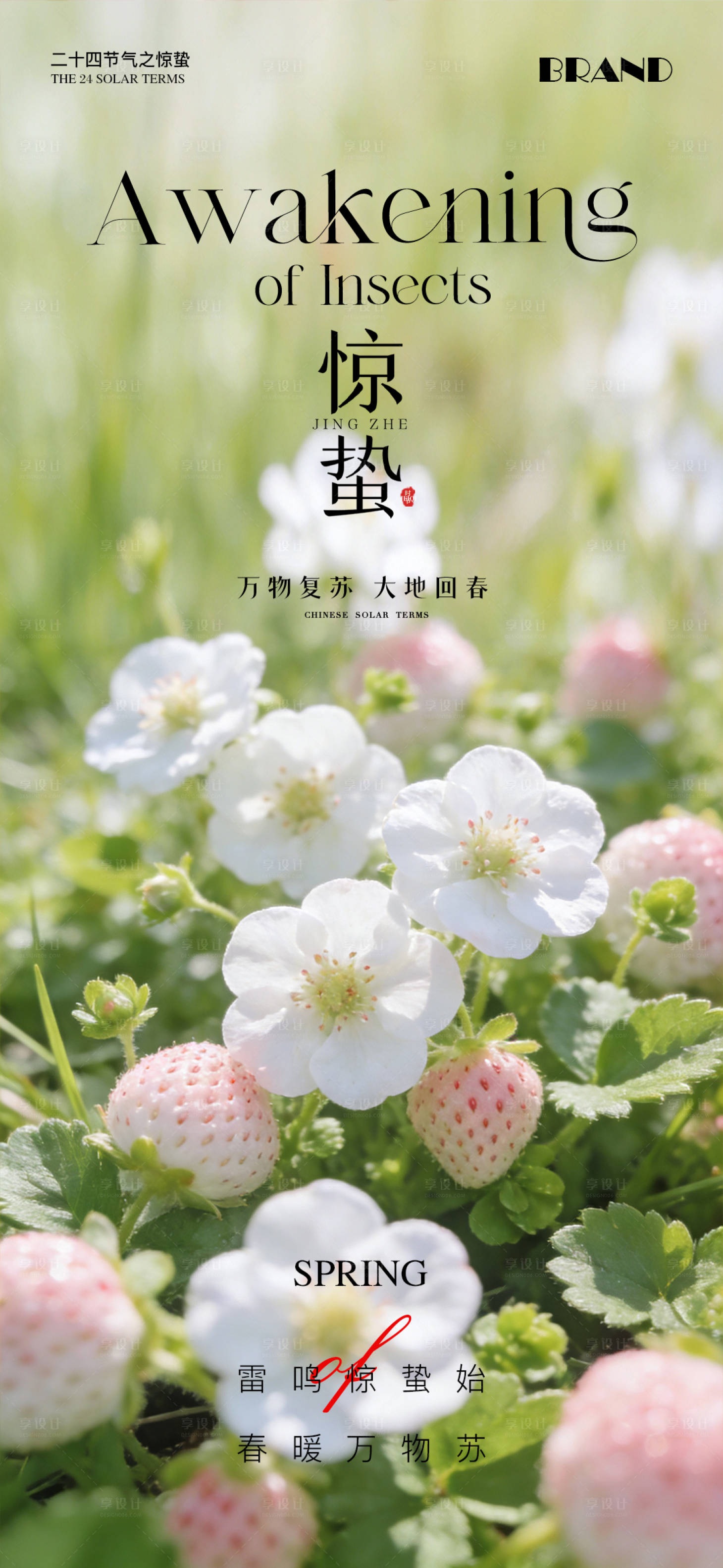 源文件下载【享设计】搜索编号：51130035656255991【惊蛰节气海报】
