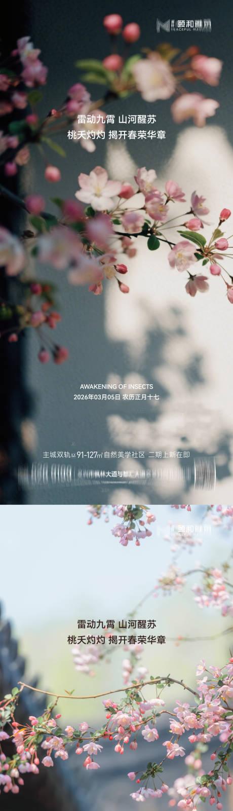 源文件下载【享设计】搜索编号：85200035599979801【2026惊蛰节气海报桃花梨花】