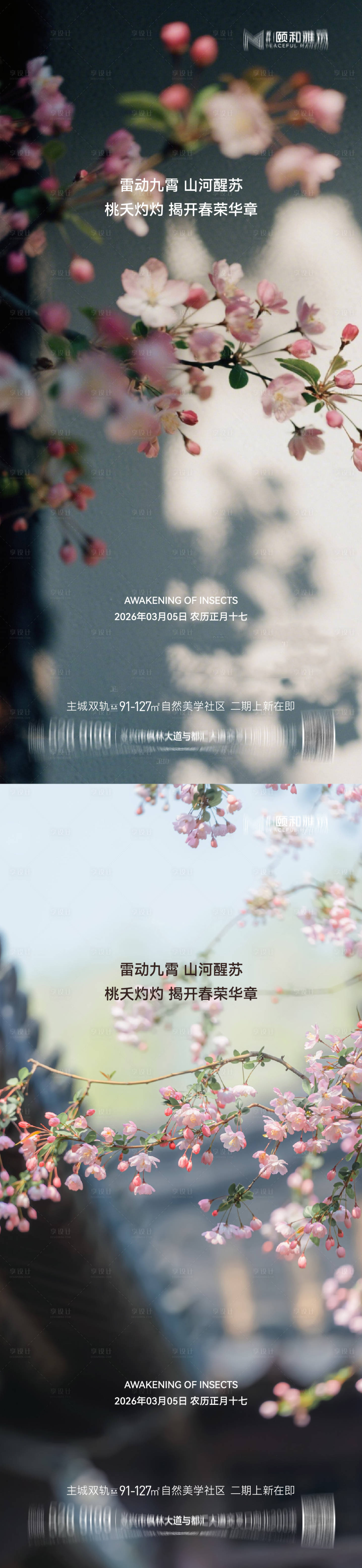 源文件下载【享设计】搜索编号：85200035599979801【2026惊蛰节气海报桃花梨花】