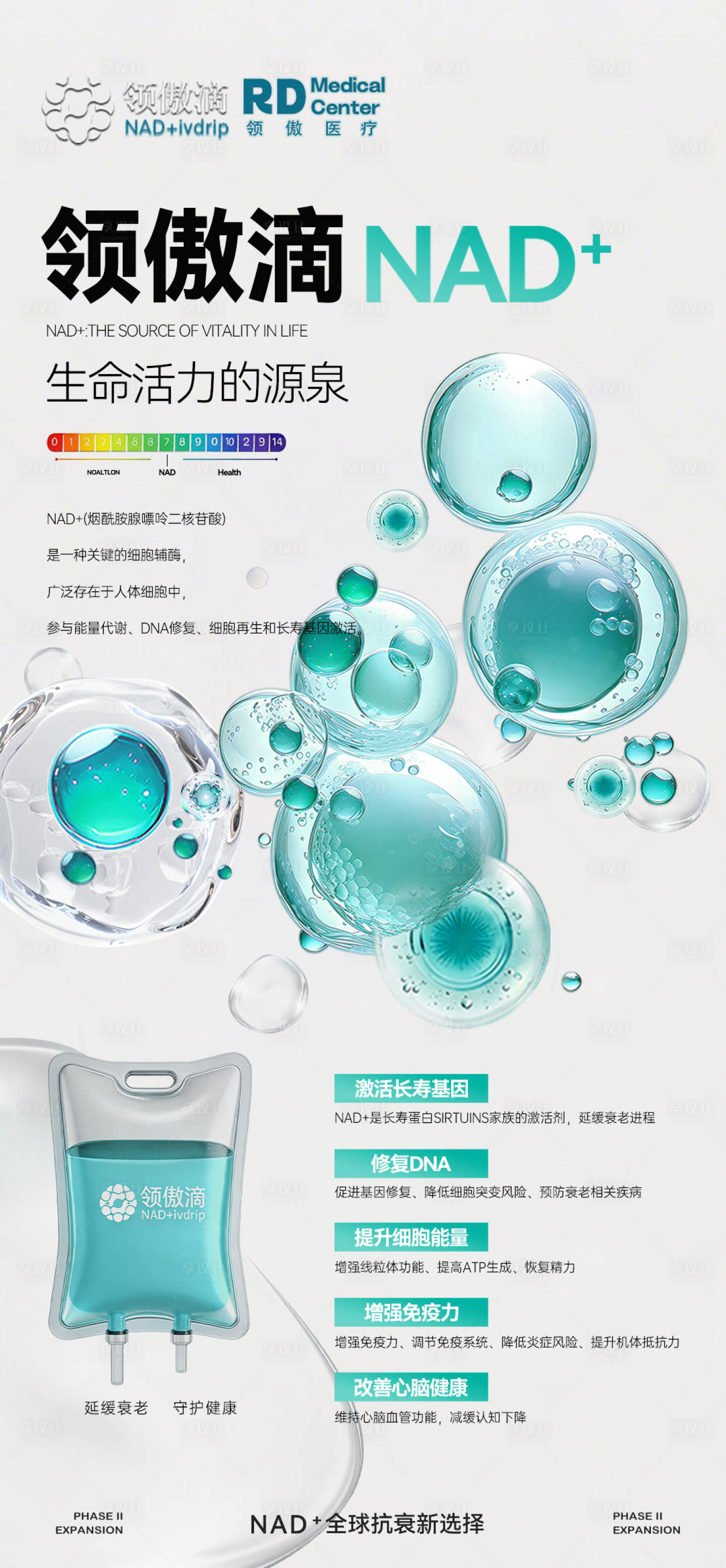 源文件下载【享设计】搜索编号：10920035646768847【NAD+营养液科普推广图】