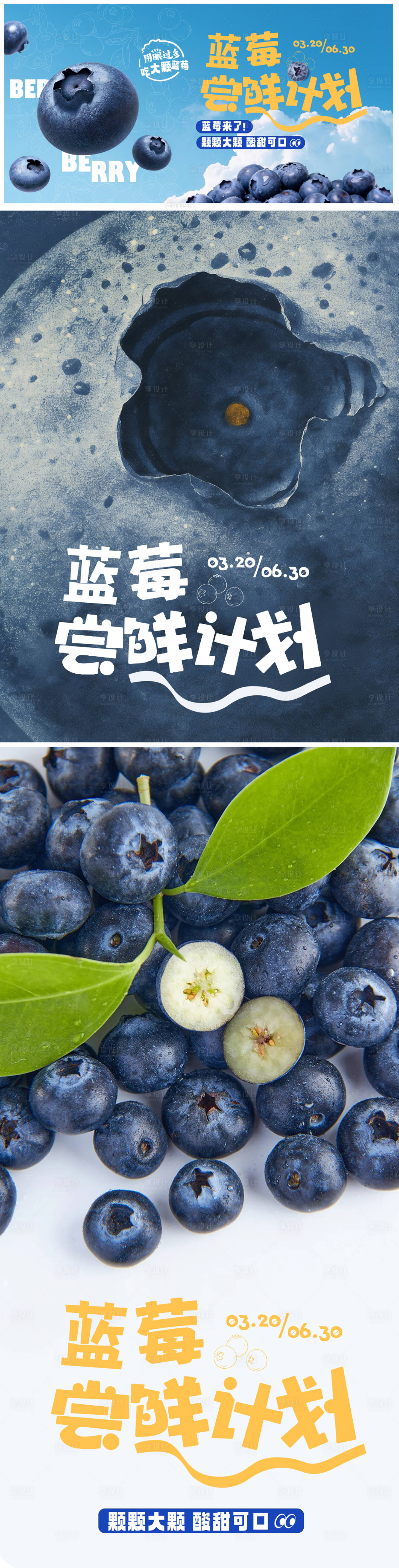 源文件下载【享设计】搜索编号：23950035928517731【蓝莓水果上市海报】