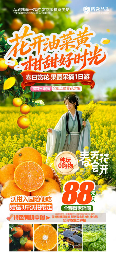 源文件下载【享设计】搜索编号：50940035917998591【油菜花采摘水果1日游海报】