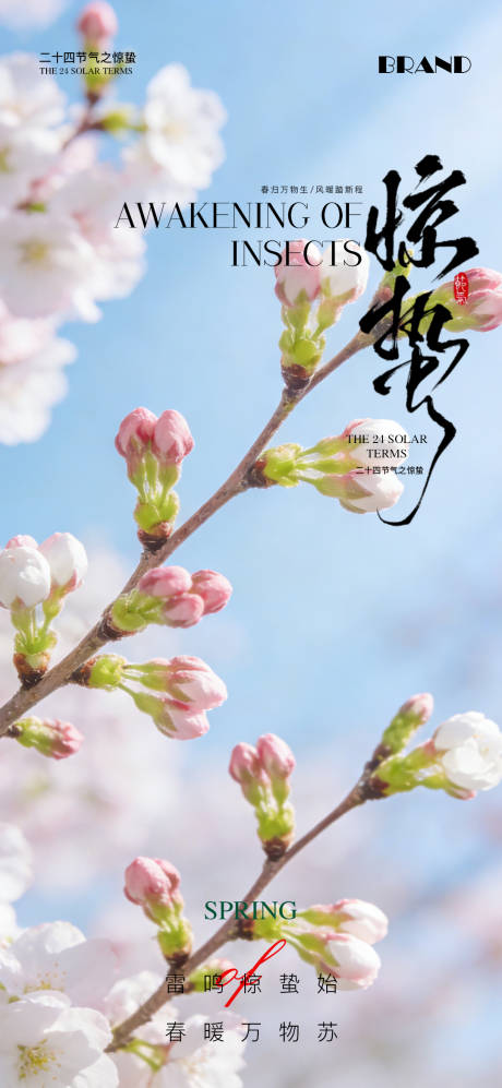 源文件下载【享设计】搜索编号：85690035598122785【惊蛰节气海报】