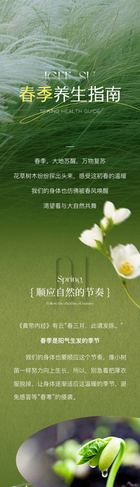 源文件下载【享设计】搜索编号：17130035966547978【春季养生指南公众号推文长图】
