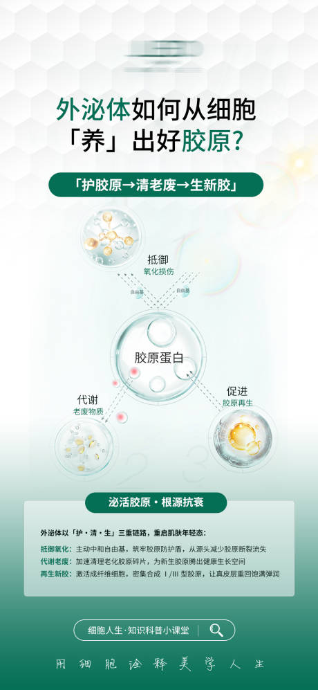 源文件下载【享设计】搜索编号：11600035825198410【科普外泌体抗衰海报】