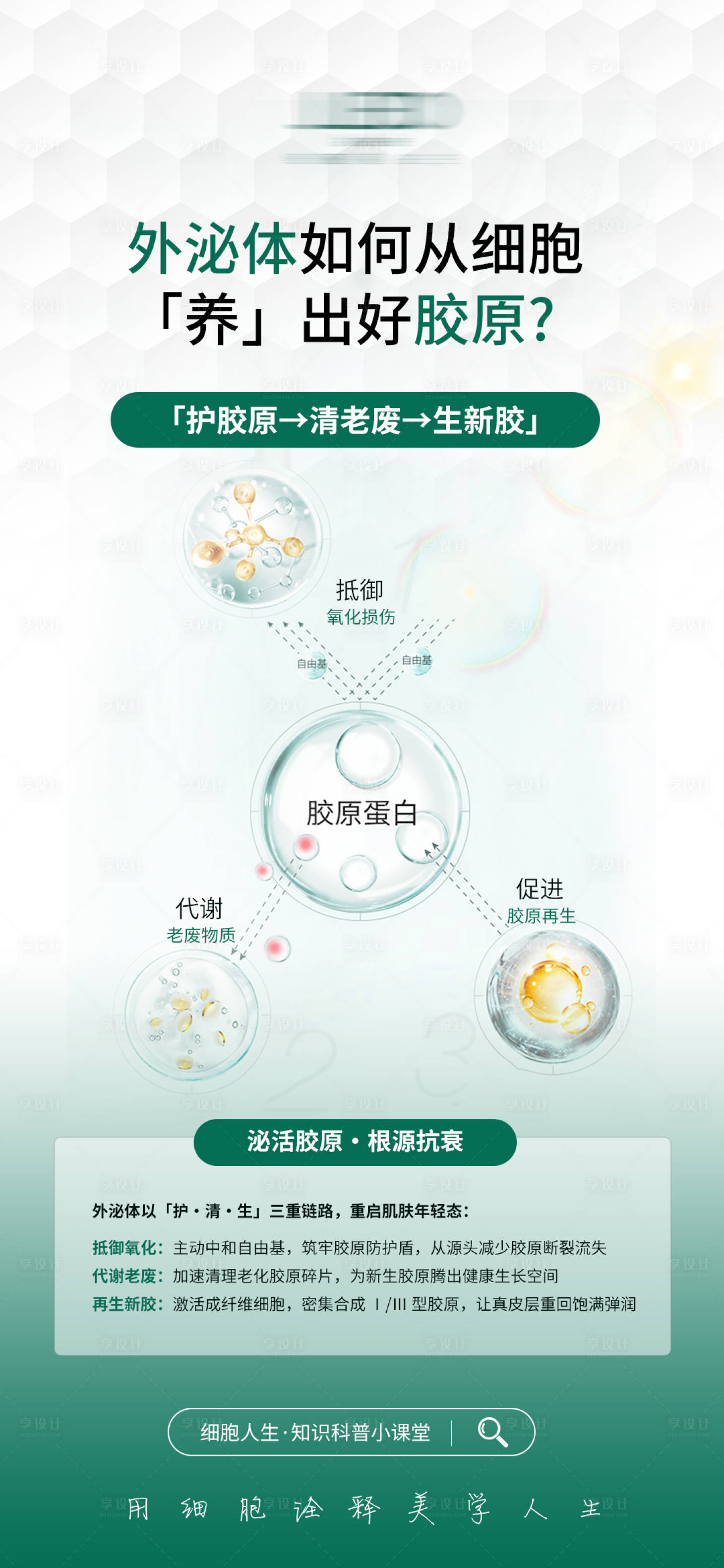 源文件下载【享设计】搜索编号：11600035825198410【科普外泌体抗衰海报】