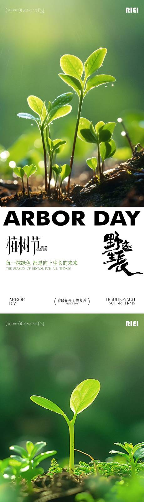 源文件下载【享设计】搜索编号：18330035686745299【植树节系列海报】