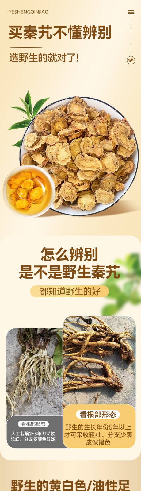 源文件下载【享设计】搜索编号：12850035892558037【中药材植物详情页黄色系列详情页】
