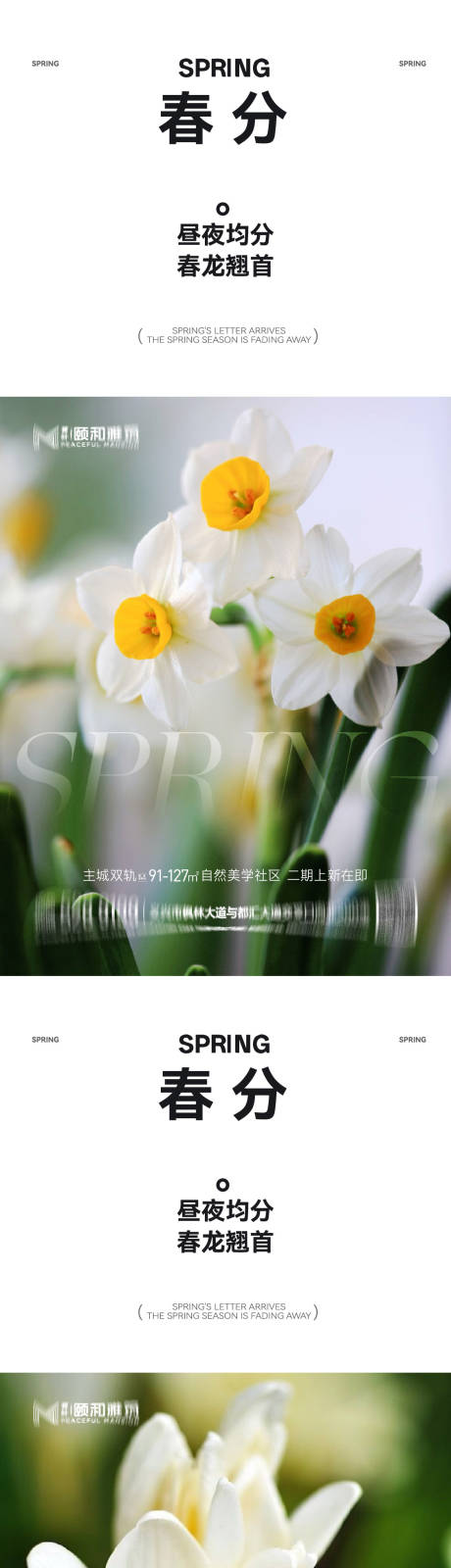 源文件下载【享设计】搜索编号：26040035898291328【龙抬头春分节日节气海报春天】