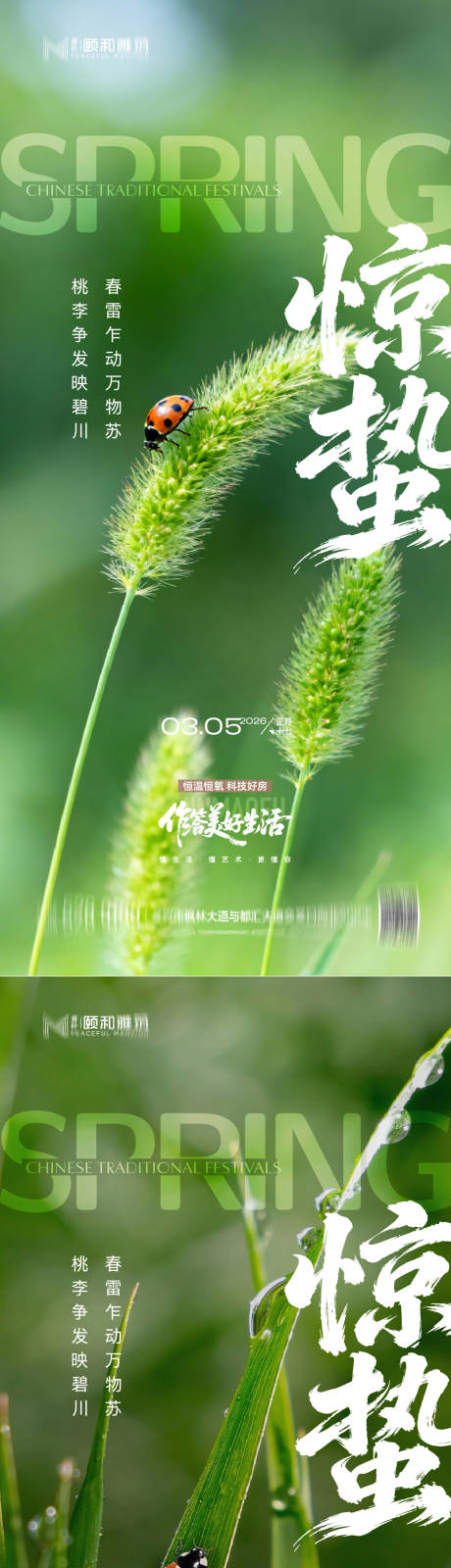 源文件下载【享设计】搜索编号：12530035599812573【惊蛰节气系列海报】