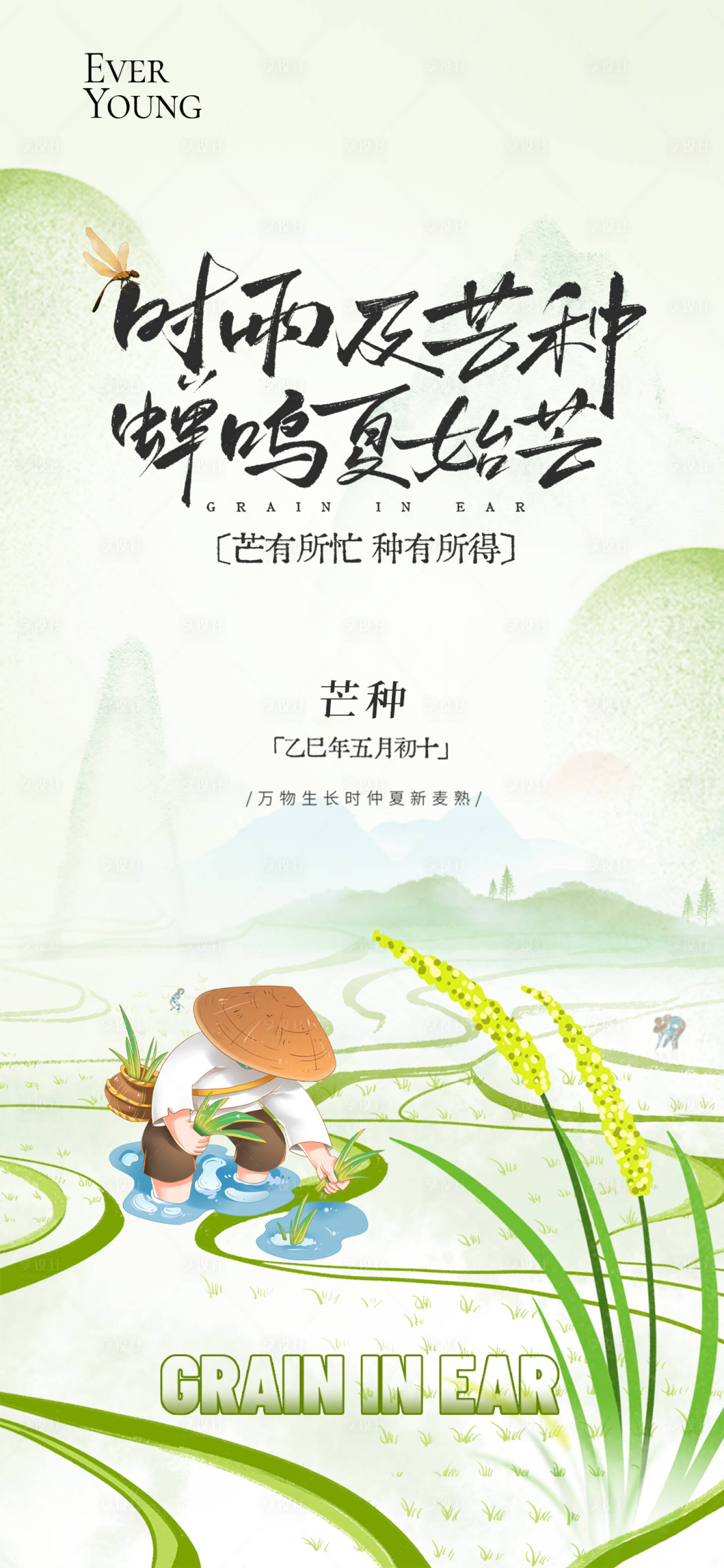 源文件下载【享设计】搜索编号：32270036090812469【芒种节气海报】